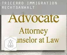 Tricerro  immigration rechtsanwalt