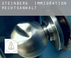 Steinberg  immigration rechtsanwalt