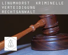 Linumhorst  kriminelle verteidigung rechtsanwalt