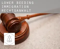 Lower Beeding  immigration rechtsanwalt