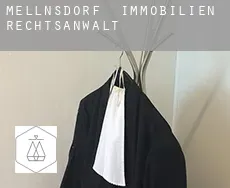 Mellnsdorf  immobilien rechtsanwalt