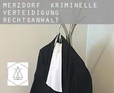 Merzdorf  kriminelle verteidigung rechtsanwalt