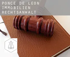 Ponce de Leon immobilien rechtsanwalt