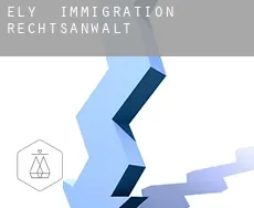 Ely  immigration rechtsanwalt