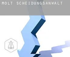 Molt  Scheidungsanwalt