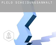 Plélo  Scheidungsanwalt