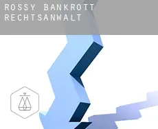 Rossy  bankrott rechtsanwalt