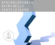 Springiersbach  kriminelle verteidigung rechtsanwalt