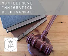 Montedinove  immigration rechtsanwalt