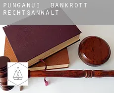 Punganui bankrott rechtsanwalt