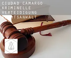 Ciudad Camargo  kriminelle verteidigung rechtsanwalt
