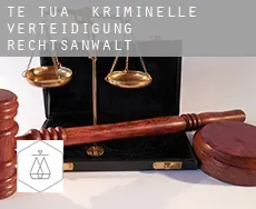 Te Tua kriminelle verteidigung rechtsanwalt