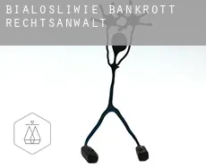 Białośliwie bankrott rechtsanwalt