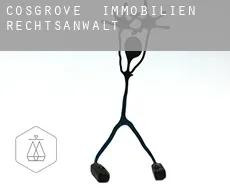 Cosgrove  immobilien rechtsanwalt