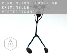 Pennington County  kriminelle verteidigung rechtsanwalt
