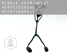 Riddle  kriminelle verteidigung rechtsanwalt