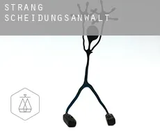 Strang  Scheidungsanwalt