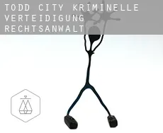 Todd City  kriminelle verteidigung rechtsanwalt