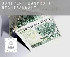 Juniper  bankrott rechtsanwalt