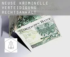 Neuse  kriminelle verteidigung rechtsanwalt