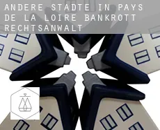 Andere Städte in Pays de la Loire bankrott rechtsanwalt