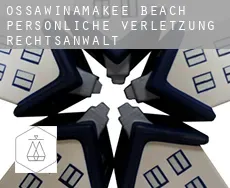 Ossawinamakee Beach  persönliche verletzung rechtsanwalt