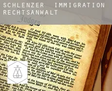 Schlenzer  immigration rechtsanwalt