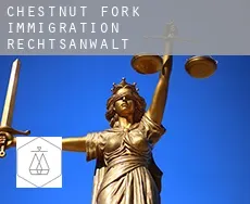Chestnut Fork  immigration rechtsanwalt