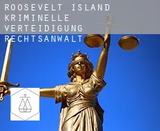 Roosevelt Island  kriminelle verteidigung rechtsanwalt