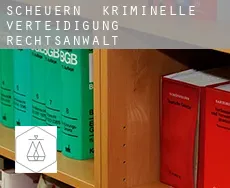 Scheuern  kriminelle verteidigung rechtsanwalt