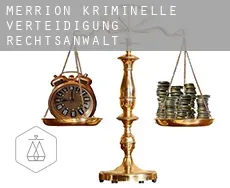 Merrion kriminelle verteidigung rechtsanwalt