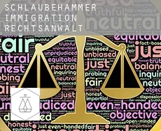 Schlaubehammer  immigration rechtsanwalt