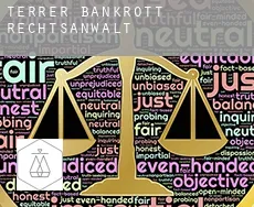 Terrer  bankrott rechtsanwalt