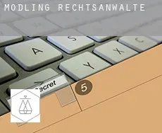 Mödling  rechtsanwälte