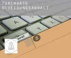 Turiwhate Scheidungsanwalt