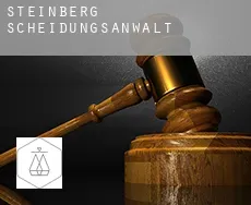 Steinberg  Scheidungsanwalt