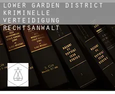 Lower Garden District kriminelle verteidigung rechtsanwalt