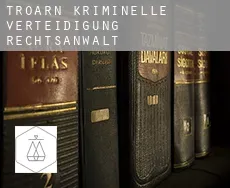 Troarn kriminelle verteidigung rechtsanwalt