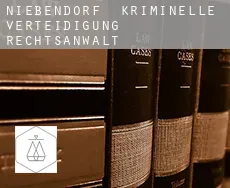 Niebendorf  kriminelle verteidigung rechtsanwalt