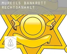 Mureils bankrott rechtsanwalt