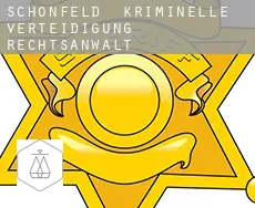 Schönfeld  kriminelle verteidigung rechtsanwalt