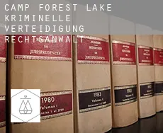 Camp Forest Lake kriminelle verteidigung rechtsanwalt