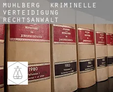 Mühlberg  kriminelle verteidigung rechtsanwalt