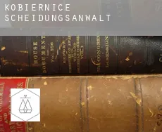Kobiernice Scheidungsanwalt