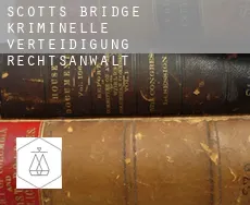 Scott’s Bridge kriminelle verteidigung rechtsanwalt