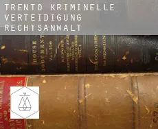 Trient kriminelle verteidigung rechtsanwalt