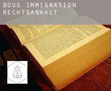 Bous  immigration rechtsanwalt