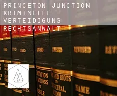 Princeton Junction  kriminelle verteidigung rechtsanwalt