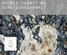 Holmes County  Scheidungsanwalt