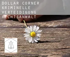 Dollar Corner  kriminelle verteidigung rechtsanwalt
